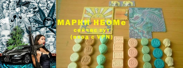 гидра Новодвинск