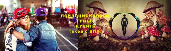 ECSTASY Новозыбков