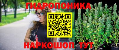 гидропоника Ирбит