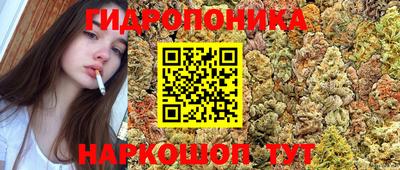 хмурый Ипатово