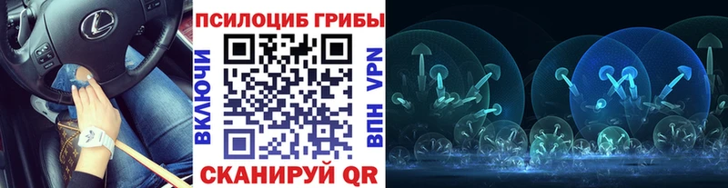 купить  цена  Острогожск  Галлюциногенные грибы ЛСД 