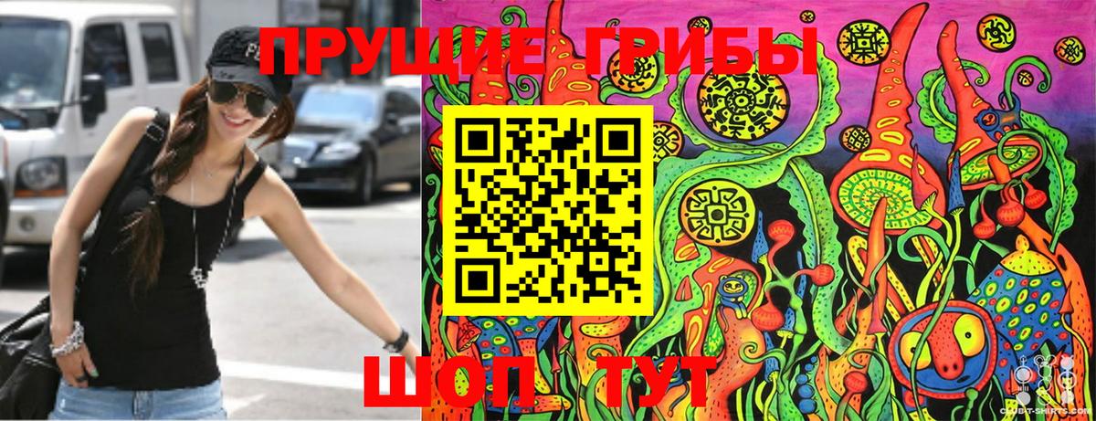 Псилоцибиновые грибы мухоморы Острогожск