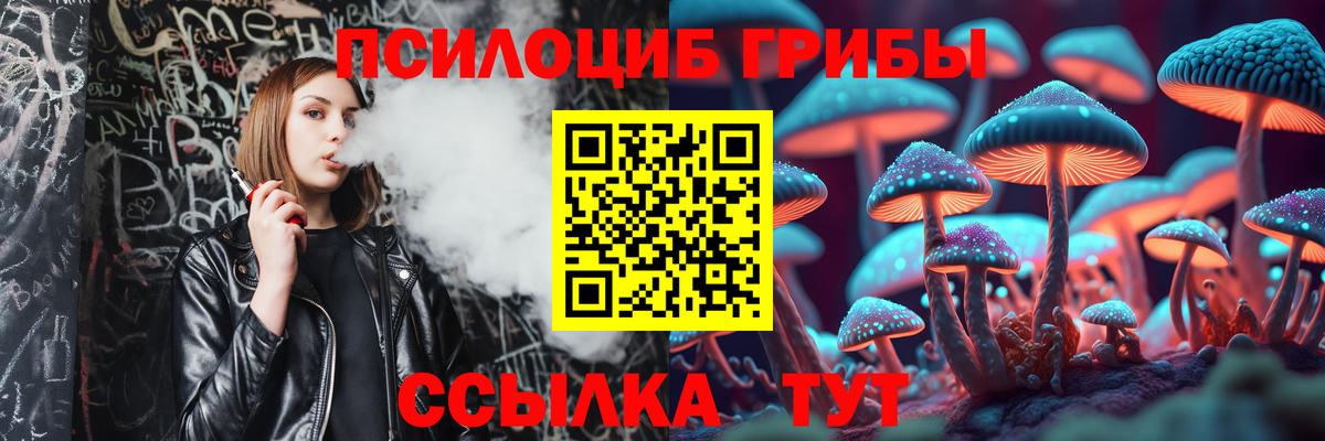 Псилоцибиновые грибы мицелий  Псилоцибиновые грибы мицелий  Вход с VPN  Острогожск 